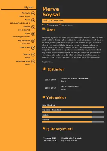 cv indir